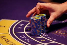 81bet cc